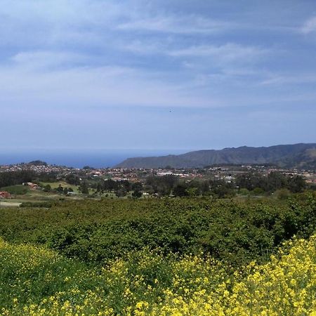 Apartamento Privado En Una Zona Tranquila Y Proxima Al Aeropuerto Tf Norte Y A La Ciudad De San Cristobal De La Laguna . Rum bild
