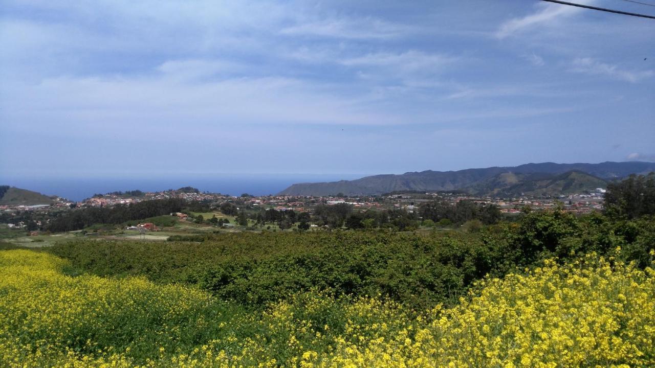 Apartamento Privado En Una Zona Tranquila Y Proxima Al Aeropuerto Tf Norte Y A La Ciudad De San Cristobal De La Laguna . Rum bild